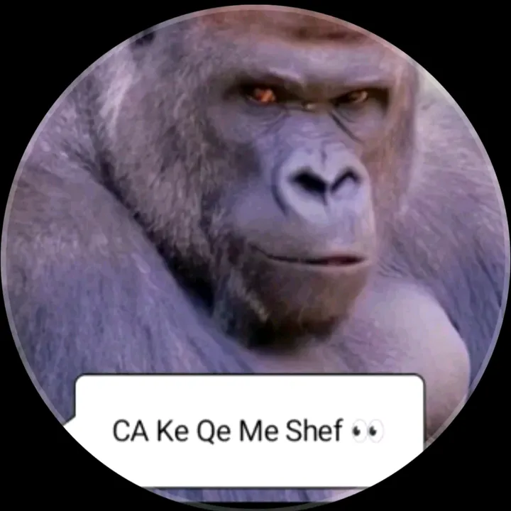 meme_te_fresketa54