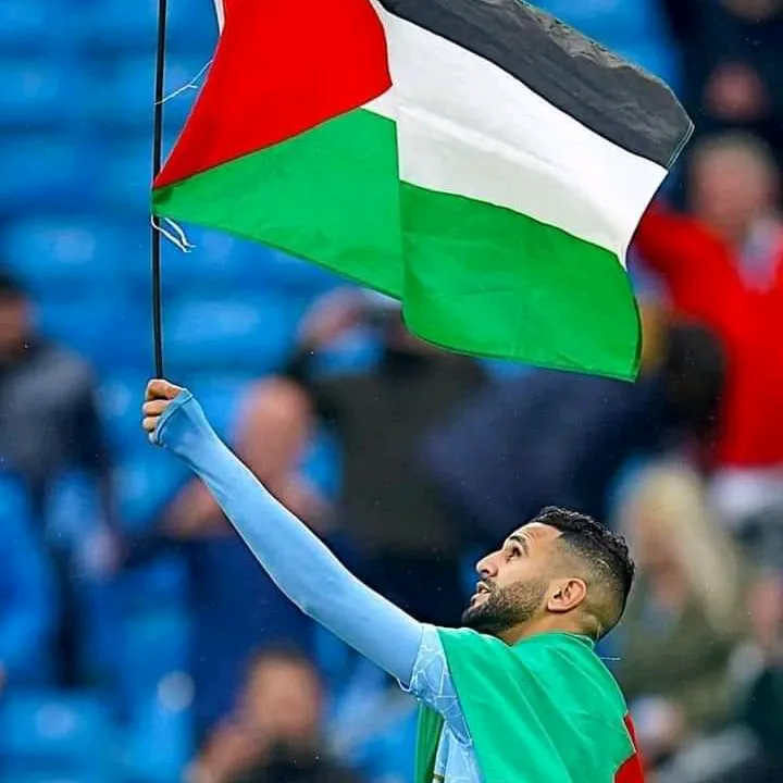 mehd13m