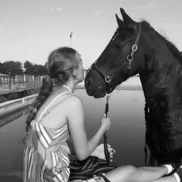 lias.horse.life