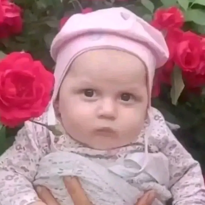 radu.anays