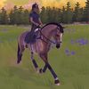 etg_allrounder_stable