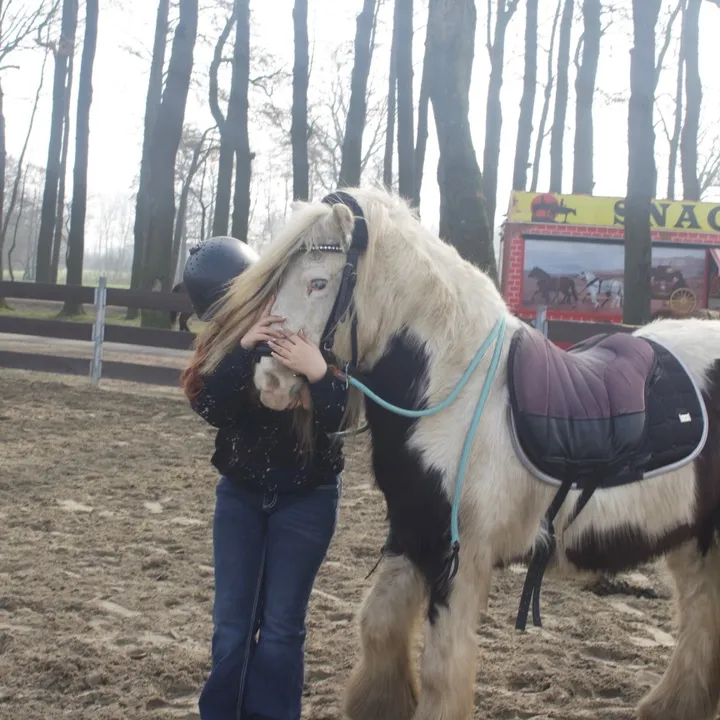 emsland.amy