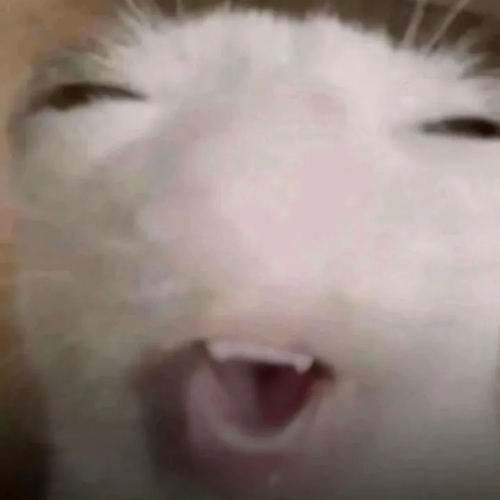 @spicydipsaus
