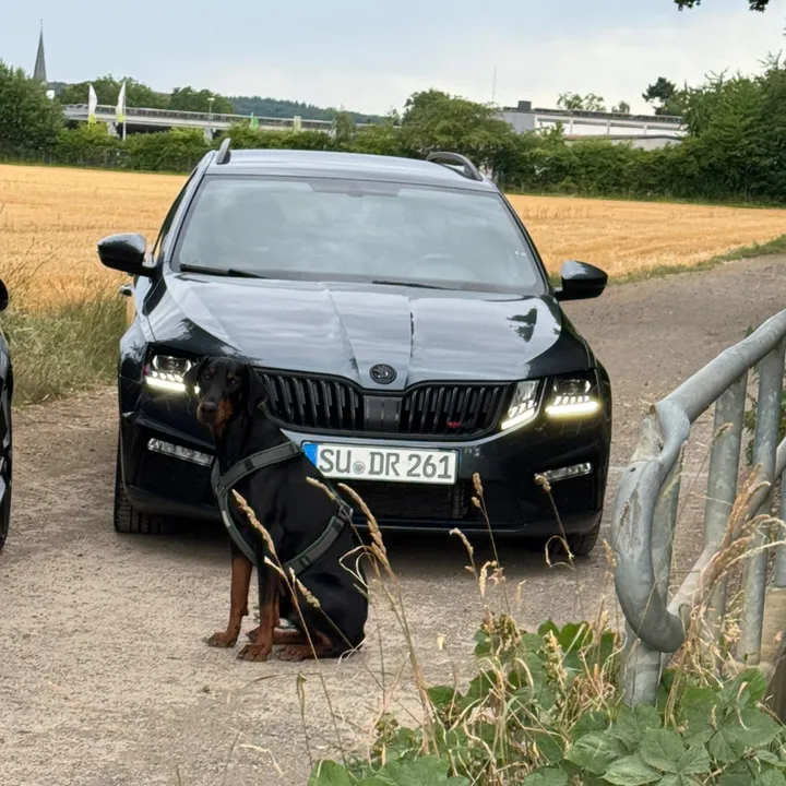 skoda_powergirl