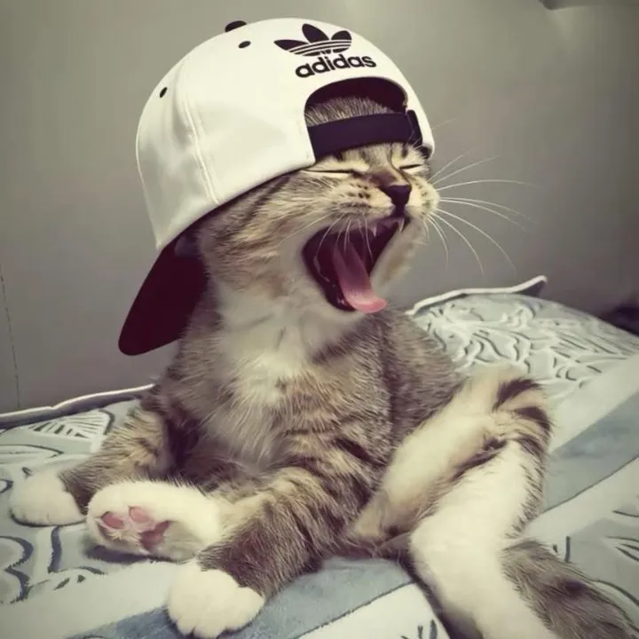 ariiixlm