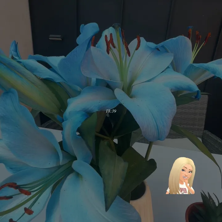 cleo123_04
