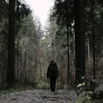 tree.tales