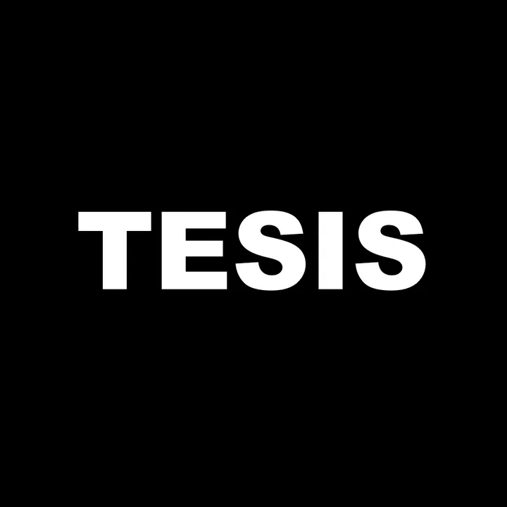tesis_geoint