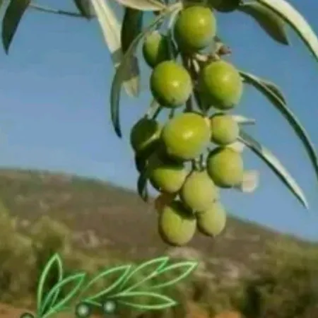 kurdstan.2004