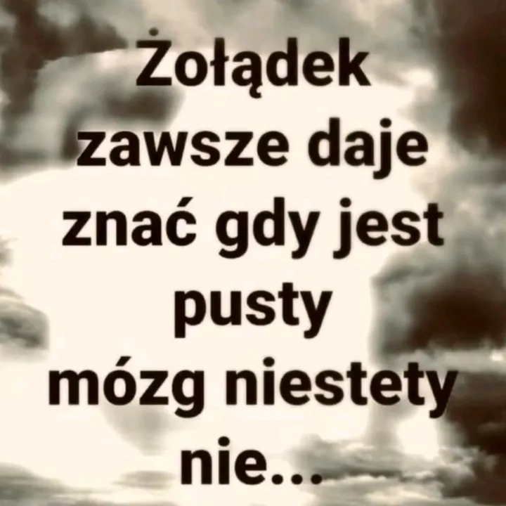 nina37901