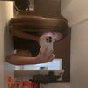 sillybeans03