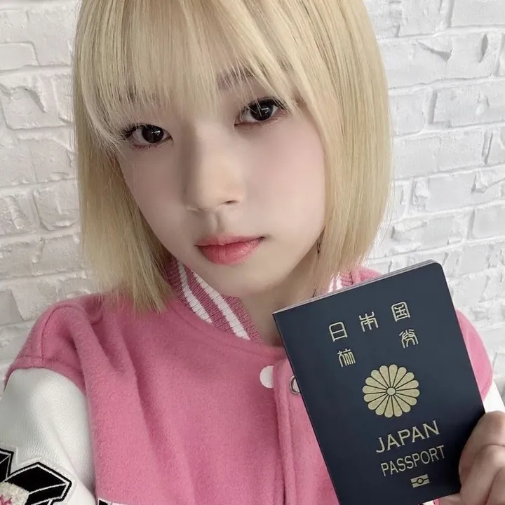 kpopdestroyer