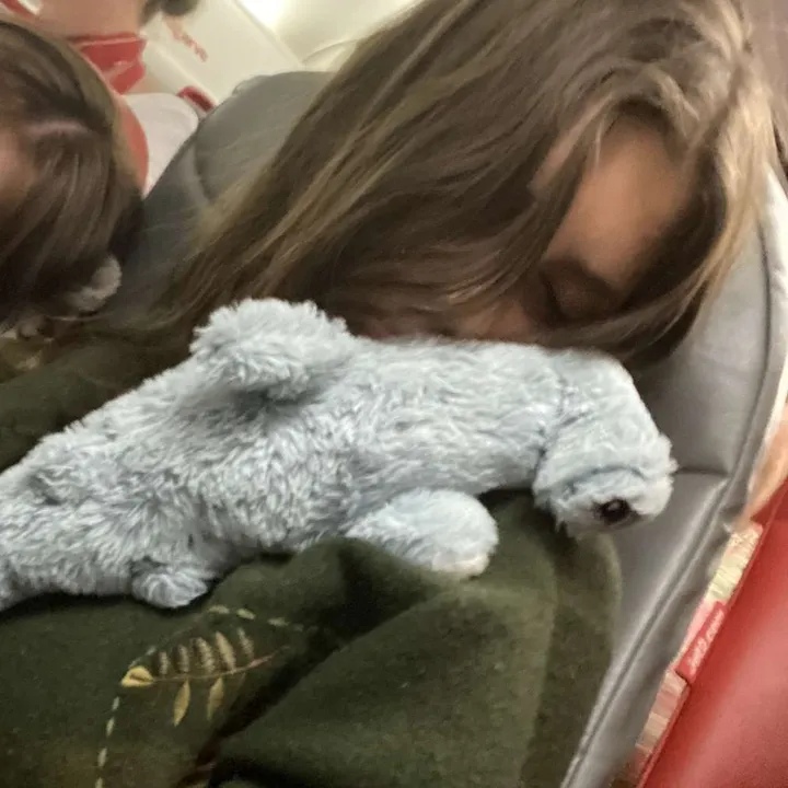 lilylikeisafrog