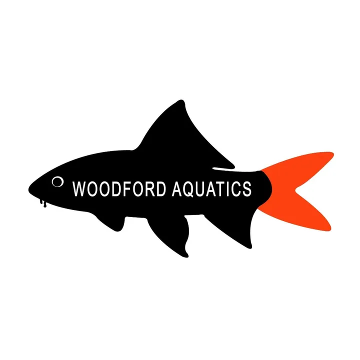 woodfordaquatics