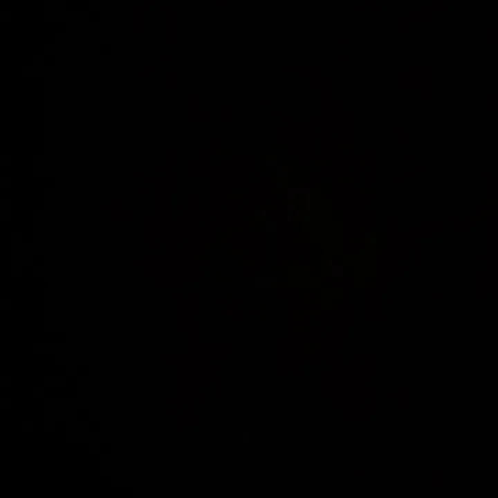 stella_pcr0