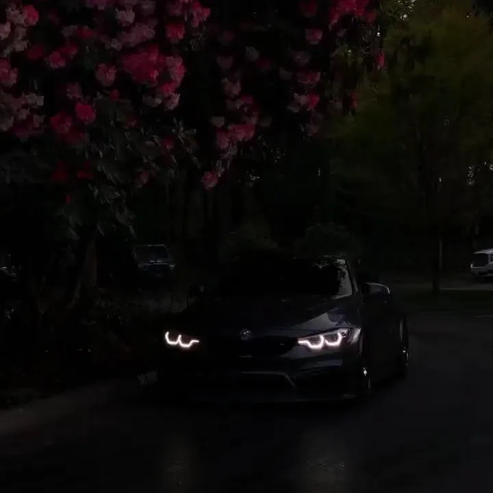 kartaval0_6