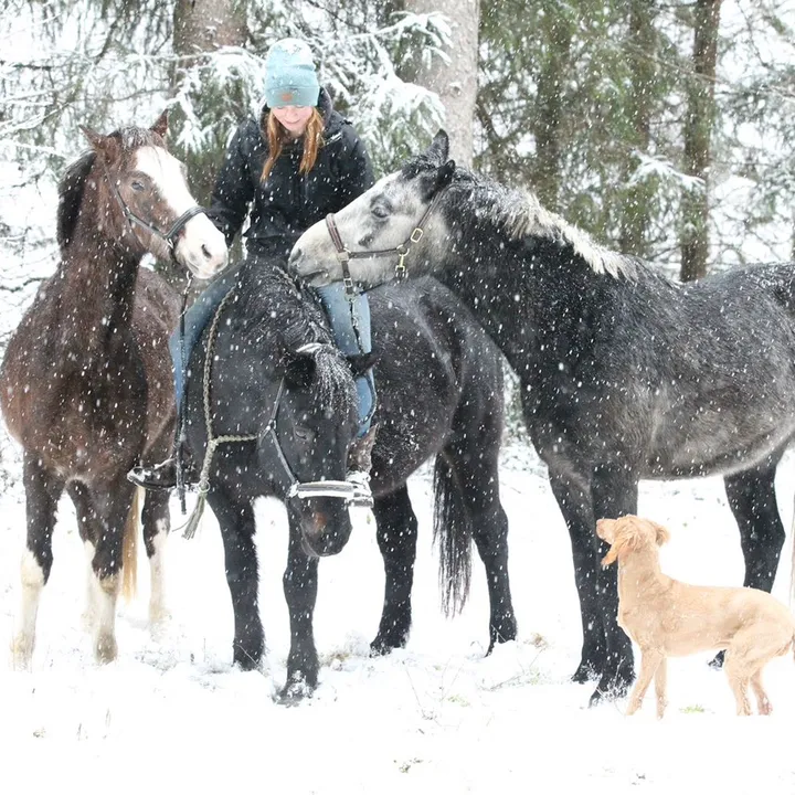 me_and_my_ponys