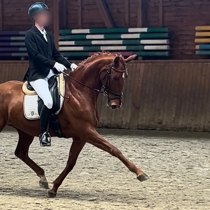 diaryofequestrian