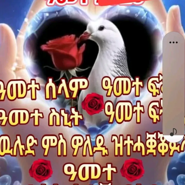 @birhinhdru