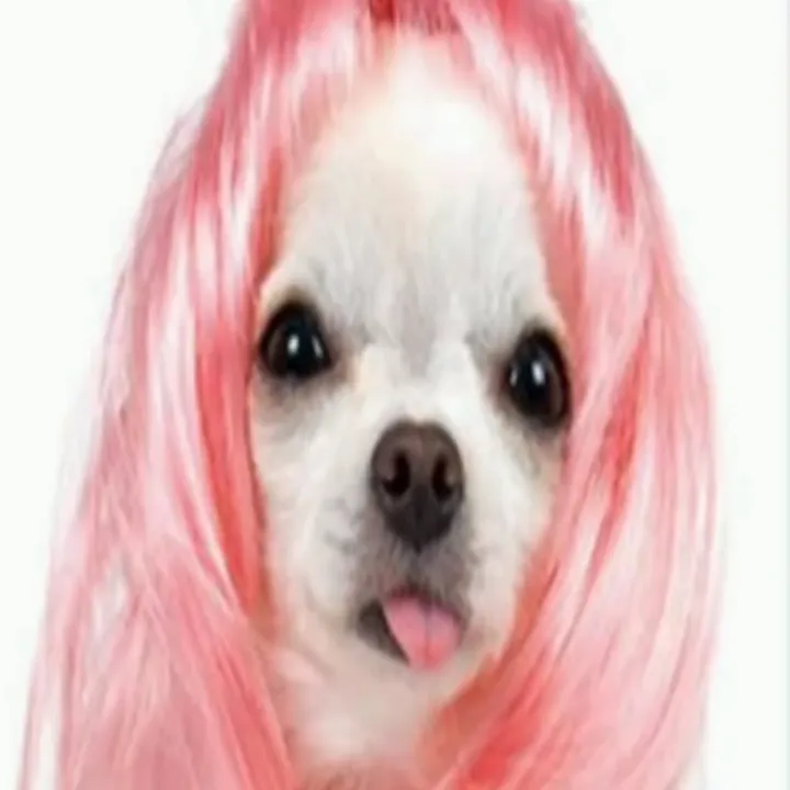 laurasvoid