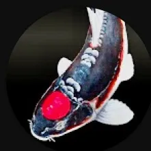 frankly.koi.real