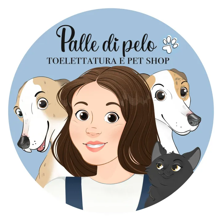 @palledipelotoelettatura