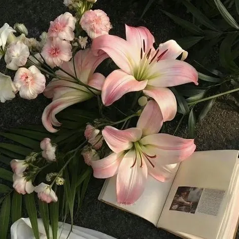 @zemerreads