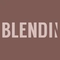 @blendin.com