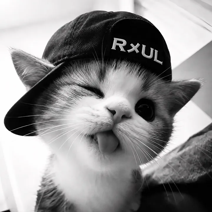 @raulplay.ro