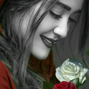 sy_m284
