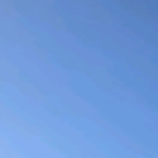nginjrclips
