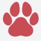 @petch.community