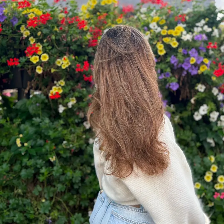 @sidra.s.i.d