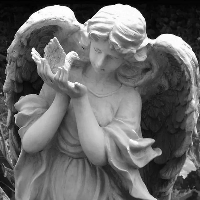 angel_blazee7