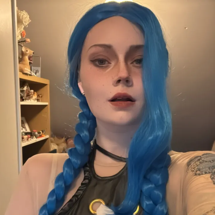 the_hollster