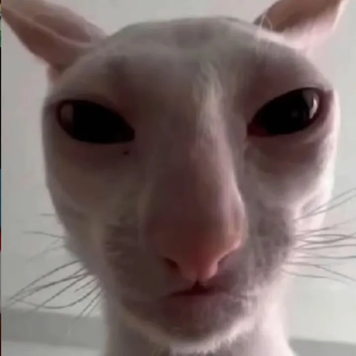 @mouseskid