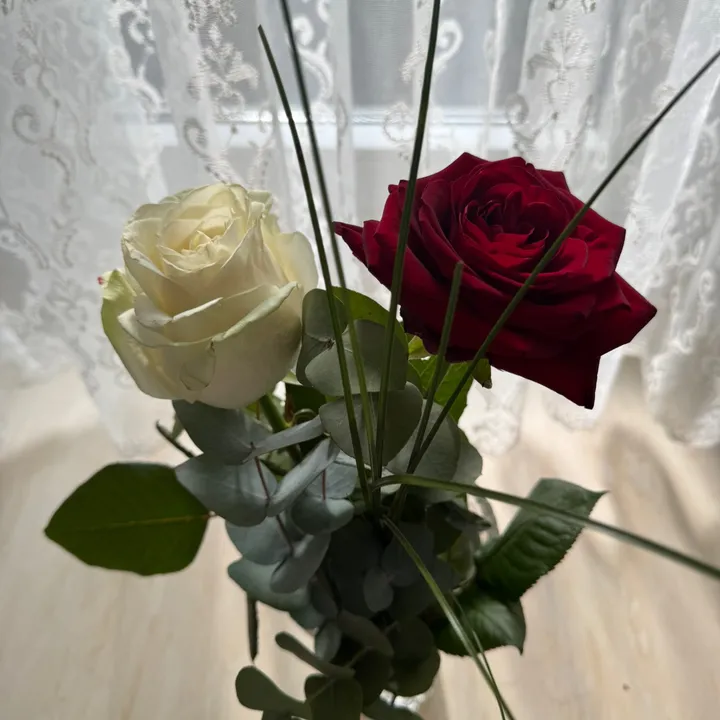 nzsmfazal