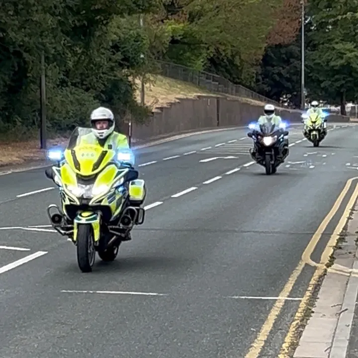 lincsbluelightstrio
