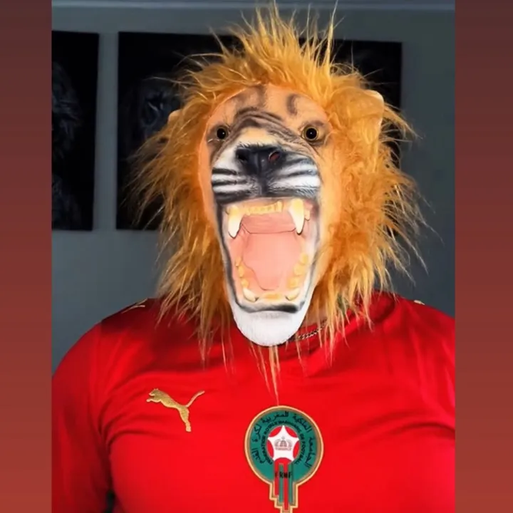 rosseleeuw