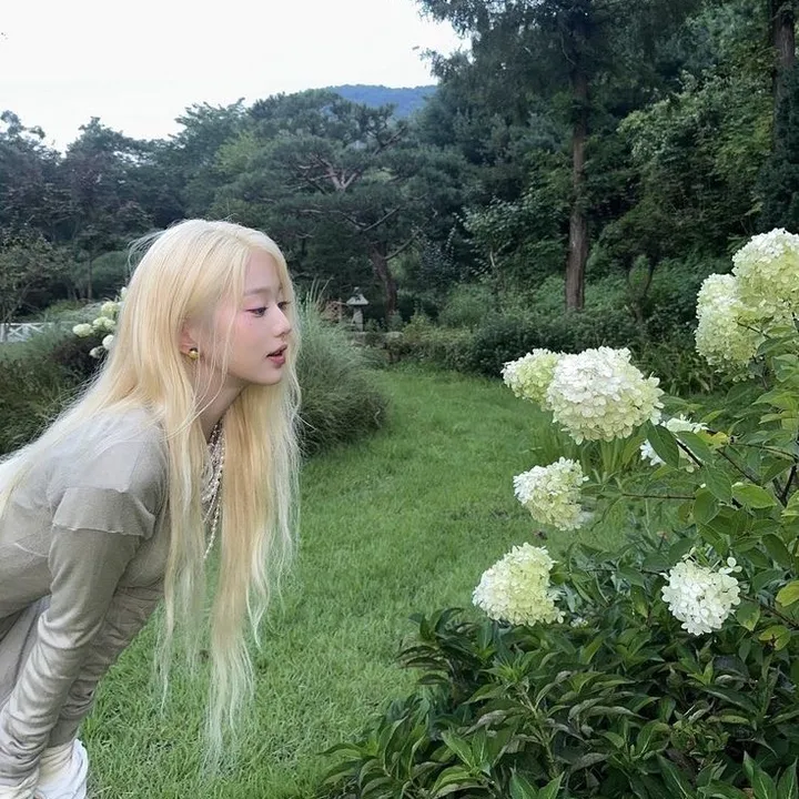 @youngiswon