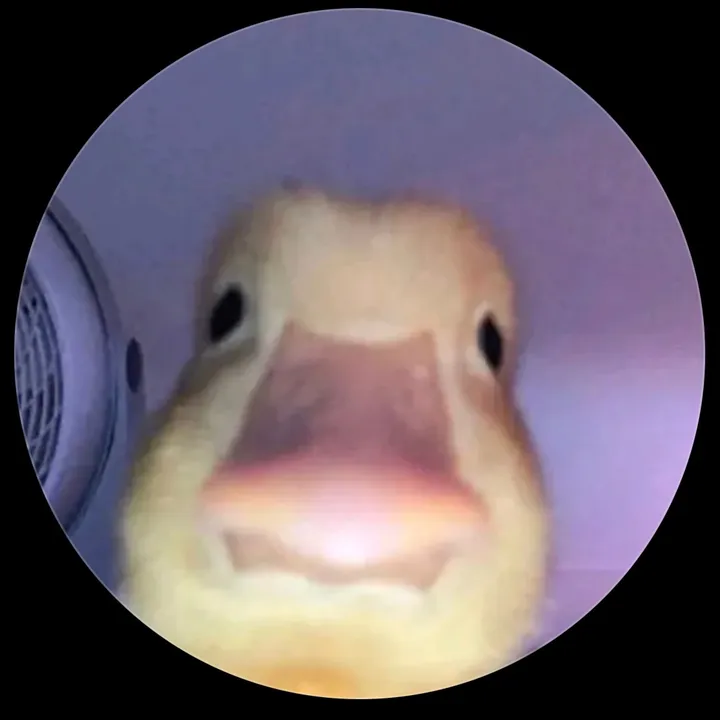 alexheinemann7