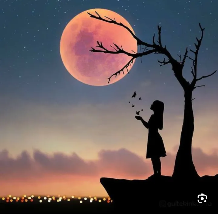 @moon.light476