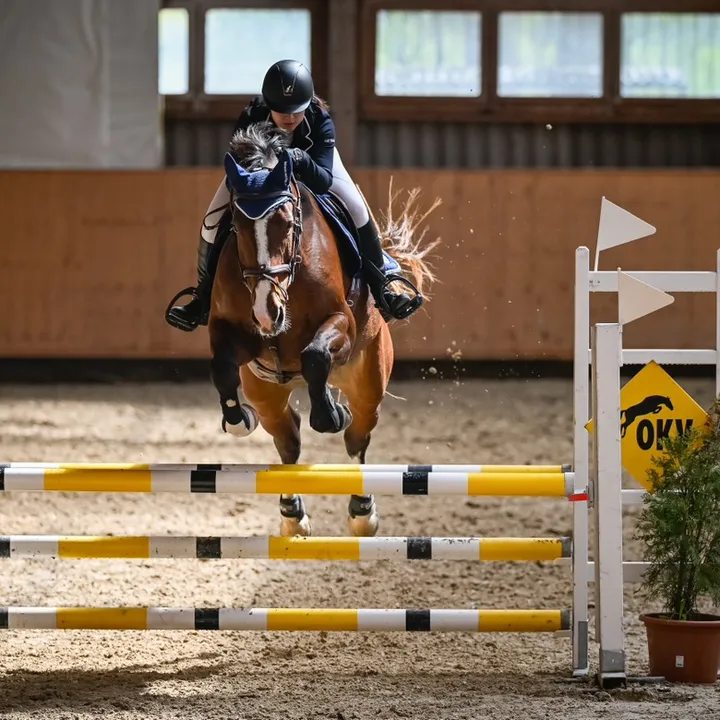 showjumping_alouette