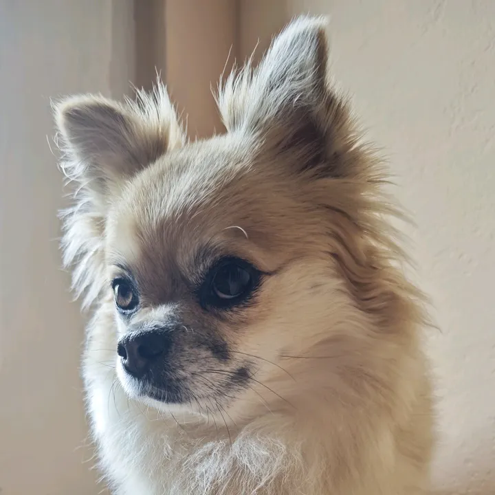 @_fluffelfluff_