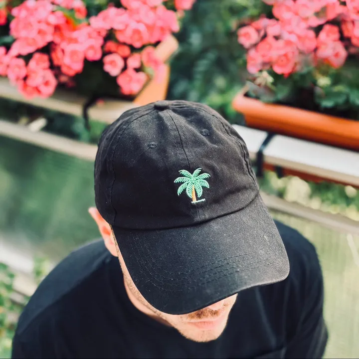 palmtreeskid