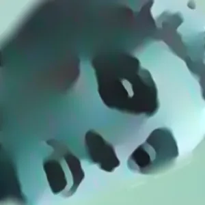@valeiium