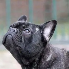 valeria.mazza.mio