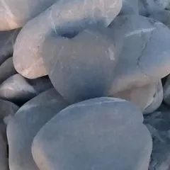 gina.mautone