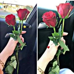 aisha.raso8