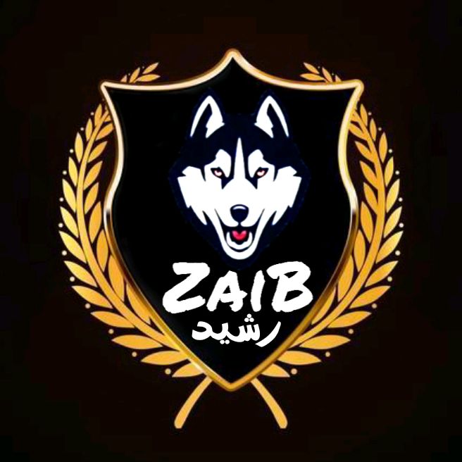 Rasheed Zaib - original sound